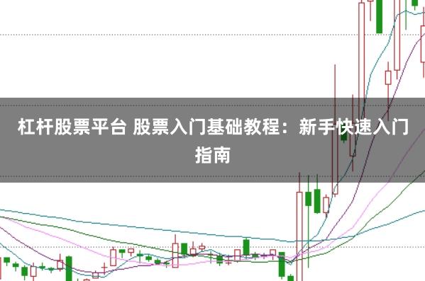 杠杆股票平台 股票入门基础教程：新手快速入门指南