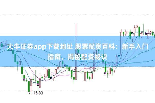 大牛证券app下载地址 股票配资百科：新手入门指南，揭秘配资秘诀