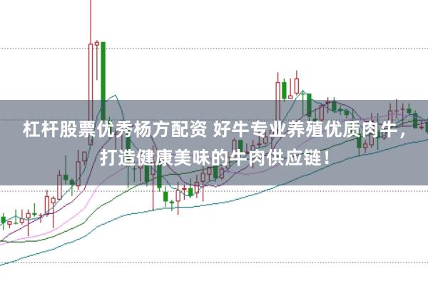 杠杆股票优秀杨方配资 好牛专业养殖优质肉牛，打造健康美味的牛肉供应链！