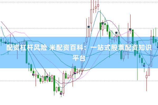 配资杠杆风险 米配资百科：一站式股票配资知识平台