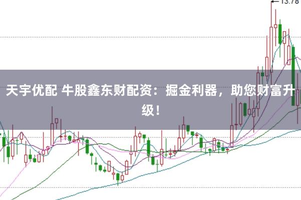 天宇优配 牛股鑫东财配资：掘金利器，助您财富升级！