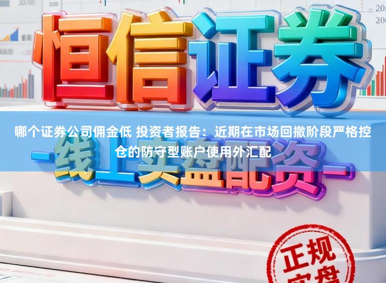 哪个证券公司佣金低 投资者报告：近期在市场回撤阶段严格控仓的防守型账户使用外汇配