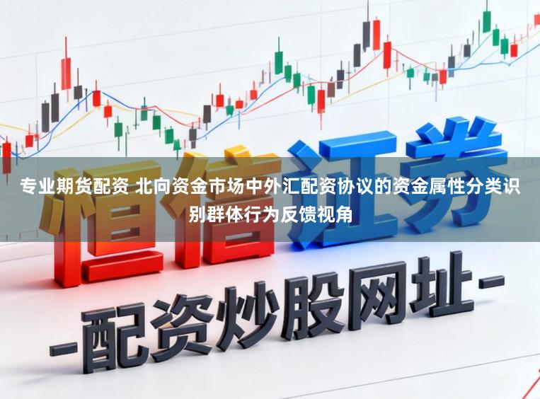 专业期货配资 北向资金市场中外汇配资协议的资金属性分类识别群体行为反馈视角