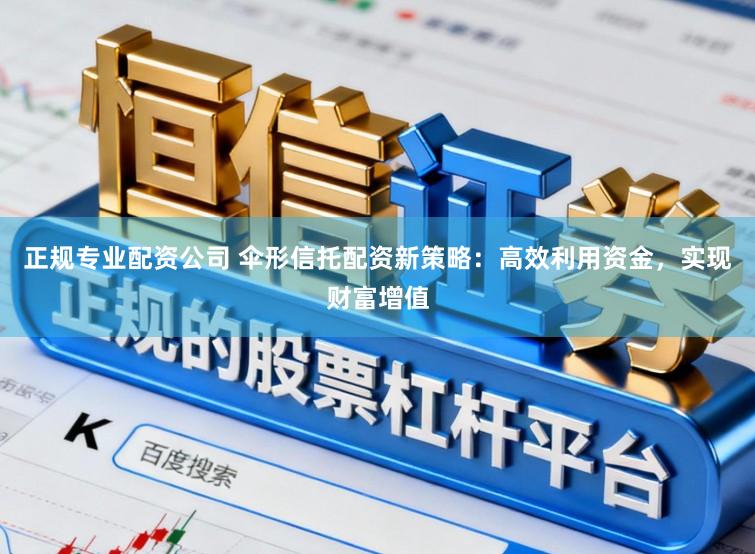 正规专业配资公司 伞形信托配资新策略：高效利用资金，实现财富增值